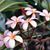 Danny Pam Wesserling's profile image