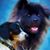 Wanda Goodfellow's profile image