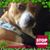 John S Greenwald's profile image