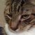 Becky Shaffer's profile image