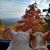 Alicia Tucker's profile image