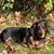 Patricia Landeck's profile image