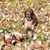 Darren Draucker's profile image