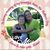 Tracey J Crowell's profile image