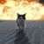 Michael Adams's profile image
