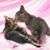 Annegret Pantfoerder's profile image