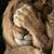 Lori McKinley's profile image