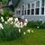 Patricia Diane Chastain's profile image