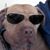 Dominic Hathaway's profile image