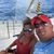 Dawn Winn Daly's profile image