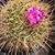 Marcia Souza's profile image