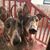 Sharon Burke's profile image