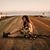Stephannie Sanzo's profile image