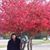Alma Alcantar's profile image