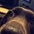 Val Benoit's profile image