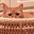 Candace Mayo Bradfield's profile image