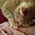 Marybeth Prickett's profile image