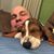 Carl Ruoff's profile image