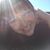 Joelle Schlievert's profile image