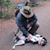 Patrick Kerwin's profile image