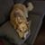 Pamela Haines's profile image