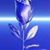 Kristi L. Pedisic's profile image