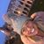 Hayley France's profile image
