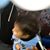 Berenice Sandoval's profile image