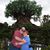 DeeAnn West's profile image
