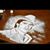 Jacko Miste Mucho's profile image
