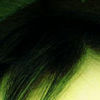Dixie O.'s profile image
