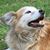 Maggie McKittrick's profile image