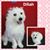 Kathy Dailey's profile image