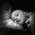 Tawnya Gayle Warren's profile image
