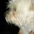 Sheila Schepers's profile image