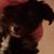 Corbin Dean's profile image