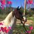 Pam Taylor's profile image