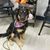 DeLisa Chambers's profile image