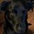 Barry Stebbins's profile image