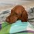 Pam Chin's profile image