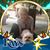 Phyllis G. Pisa's profile image