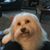 Mary Ellen Lowery's profile image