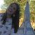 Raluca Liles's profile image