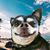Tabbitha Gomez's profile image