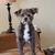 John Clugston's profile image