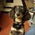 Judith Furnari's profile image