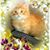 Linda Kushner's profile image