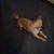 Patricia Russell's profile image