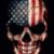 英俊假's profile image