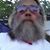David Massey's profile image